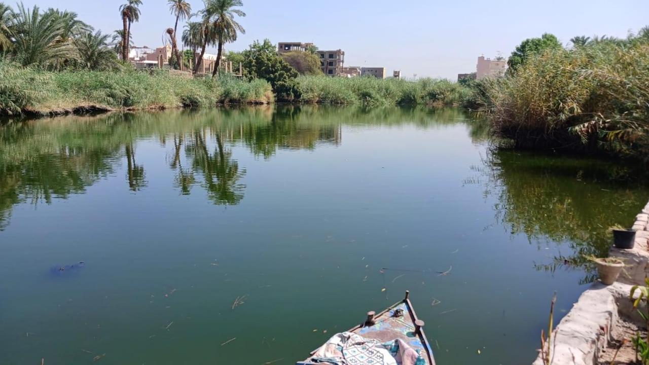 Luxor Old Nile Hotel Dış mekan fotoğraf