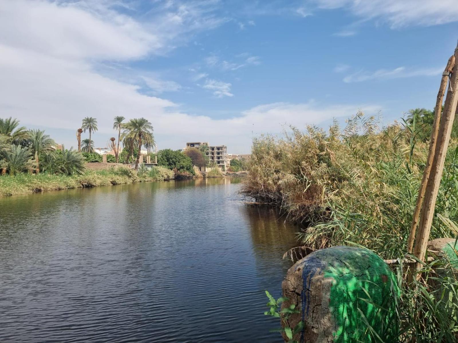 Luxor Old Nile Hotel Oda fotoğraf