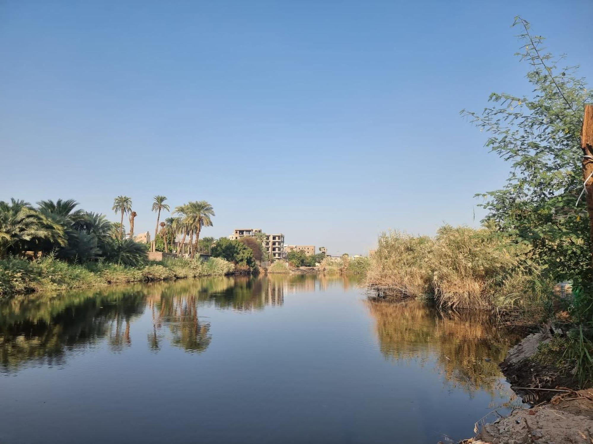 Luxor Old Nile Hotel Oda fotoğraf